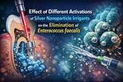 Effect of different activations of silver nanoparticle irrigants on the elimination of Enterococcus faecalis